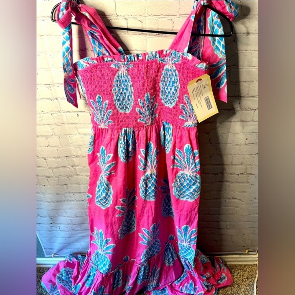 Crown & Ivy Pink and Blue Smocked Dress SMALL